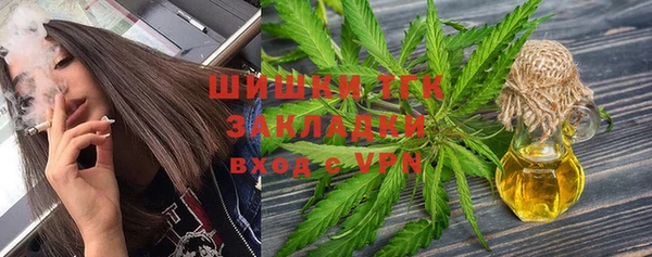 молекула духа Абинск