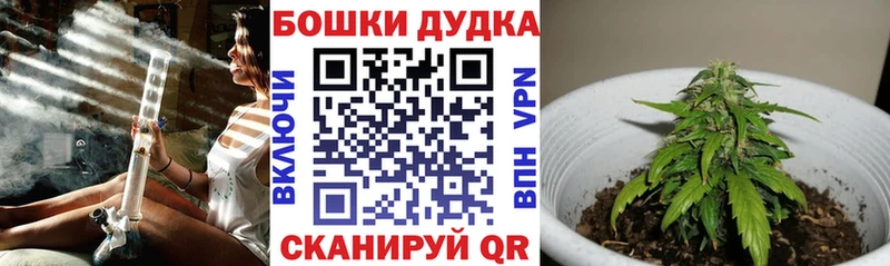 как найти наркотики  Амурск  Бошки Шишки LSD WEED 
